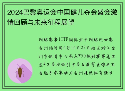 2024巴黎奥运会中国健儿夺金盛会激情回顾与未来征程展望